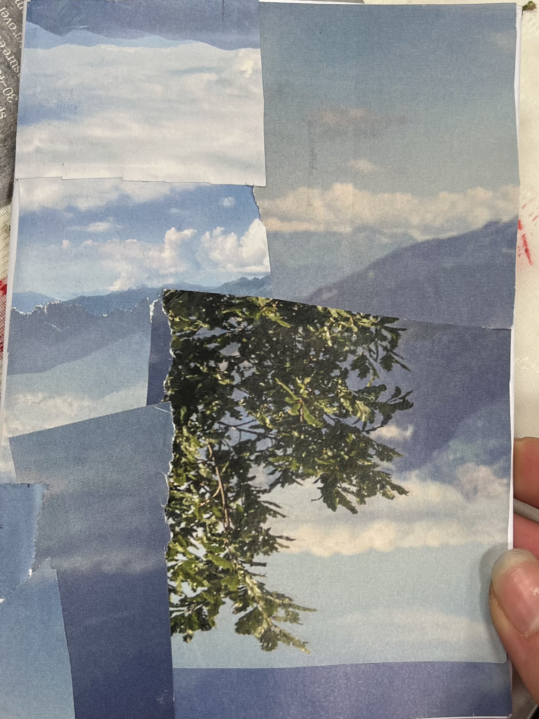Image 2